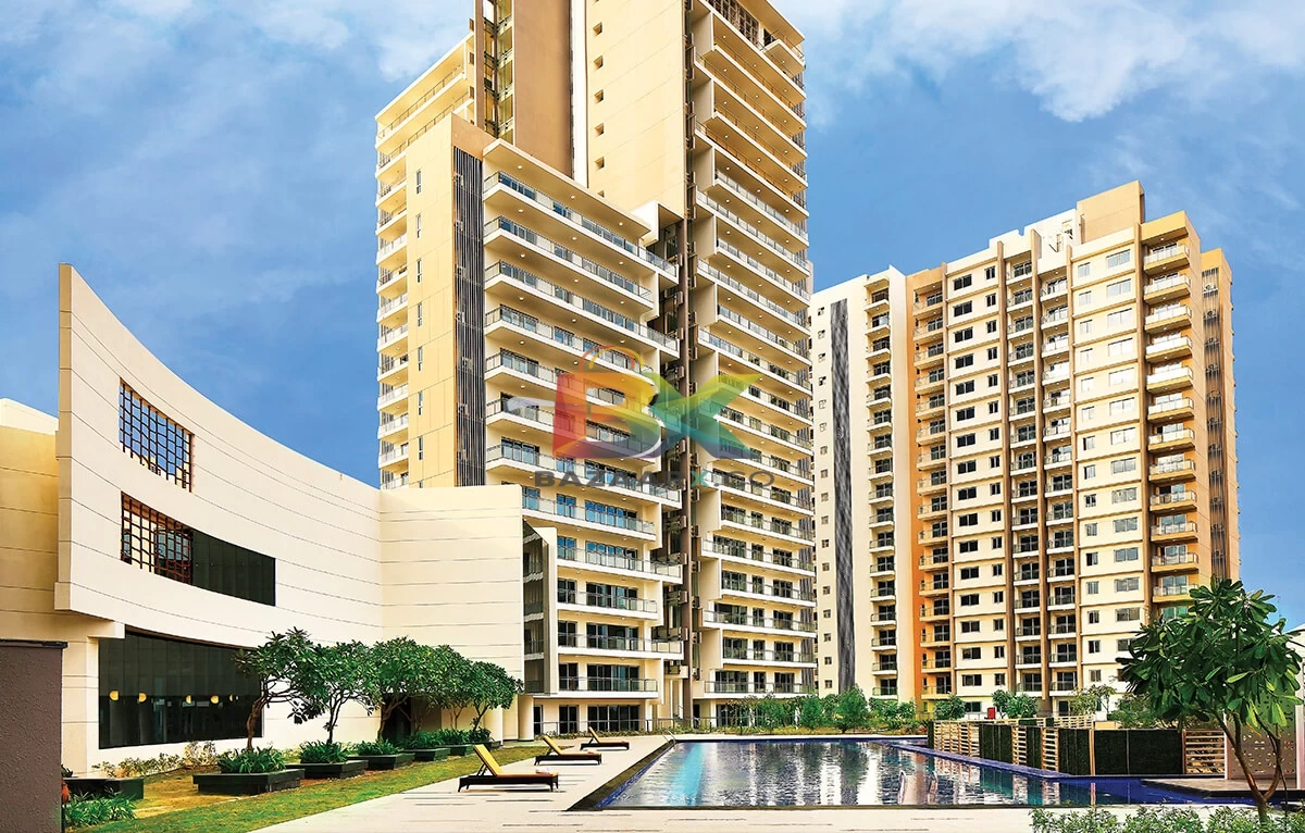 BZX Property