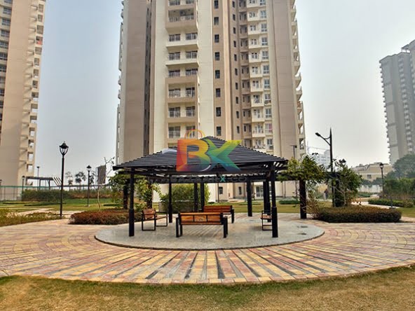 BZX Property