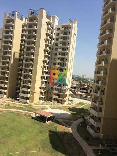 BZX Property