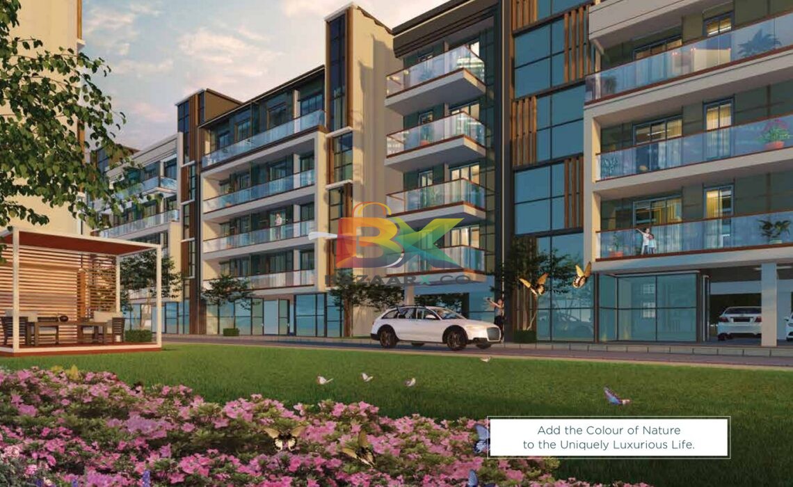 BZX Property