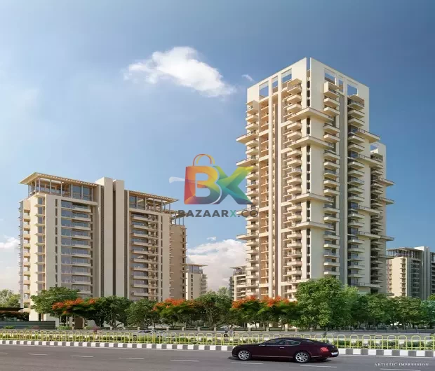 BZX Property
