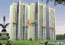 BZX Property