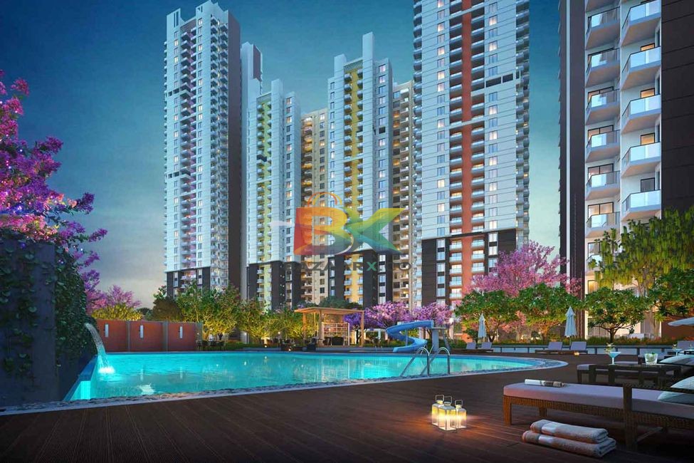 BZX Property