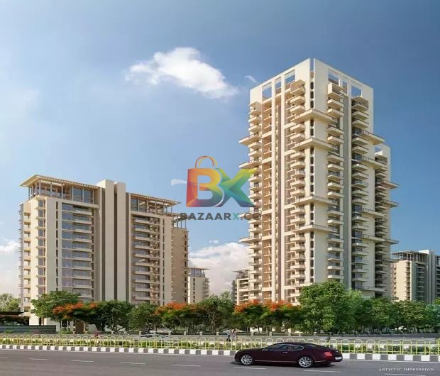 BZX Property