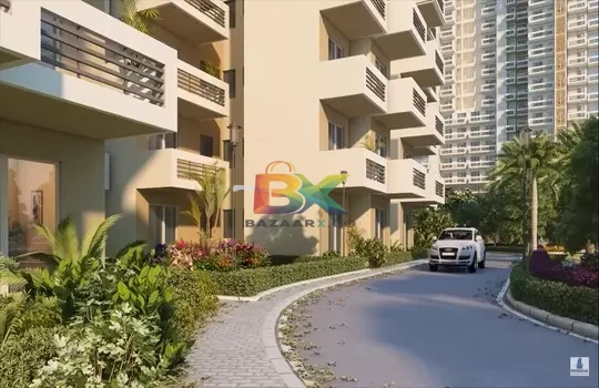 BZX Property