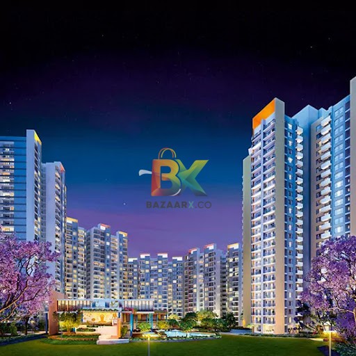 BZX Property
