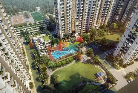 BZX Property