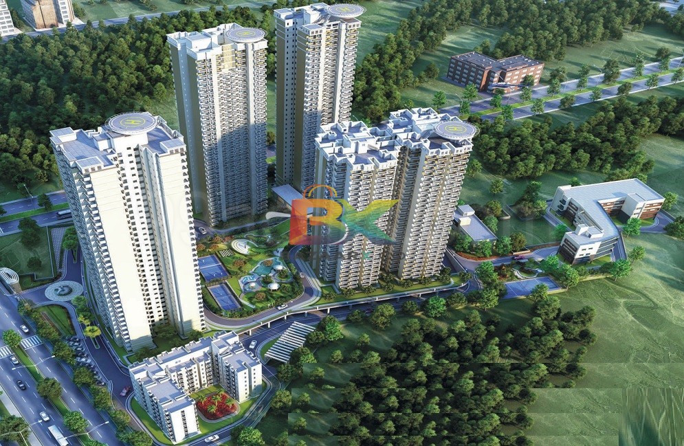 BZX Property