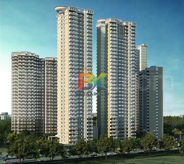 BZX Property