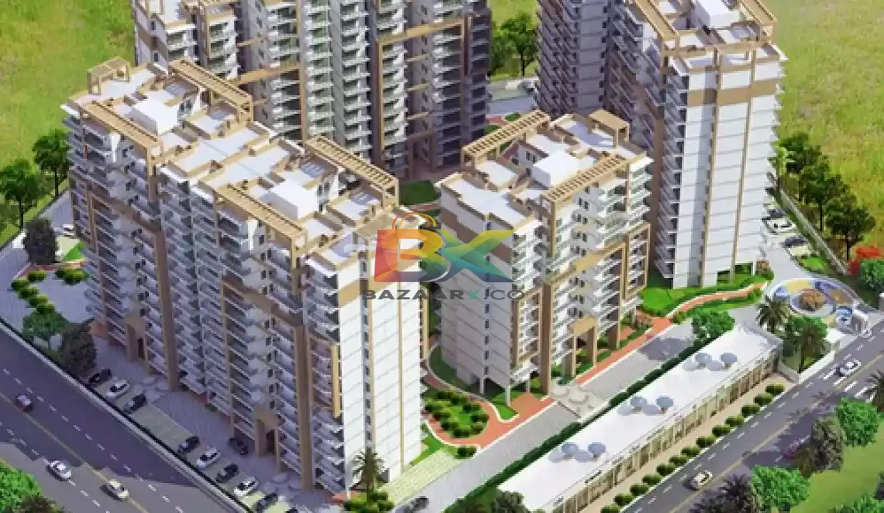 BZX Property