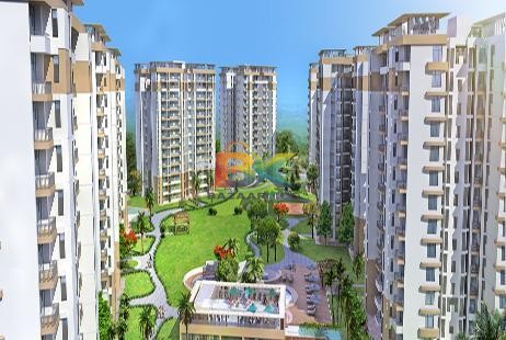 BZX Property