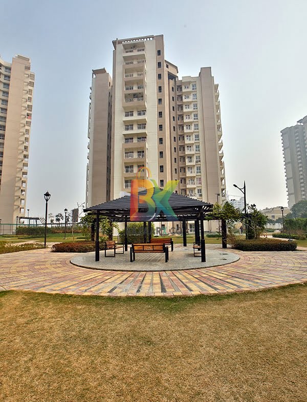 BZX Property