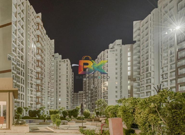 BZX Property