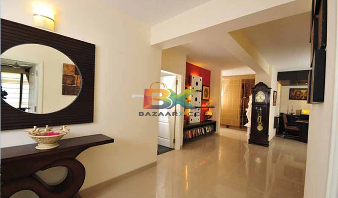 BZX Property