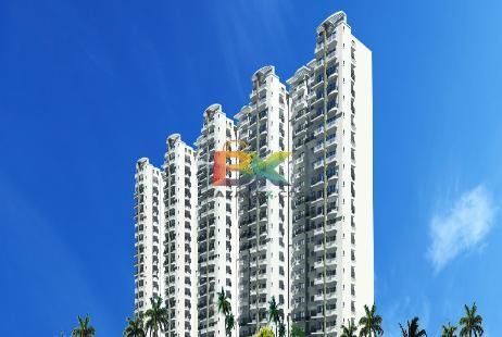 BZX Property
