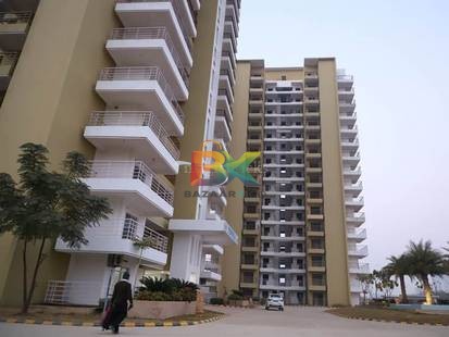 BZX Property