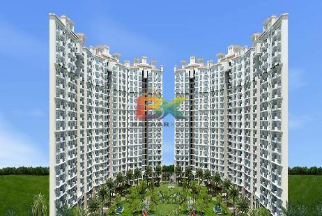 BZX Property