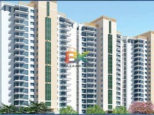 BZX Property