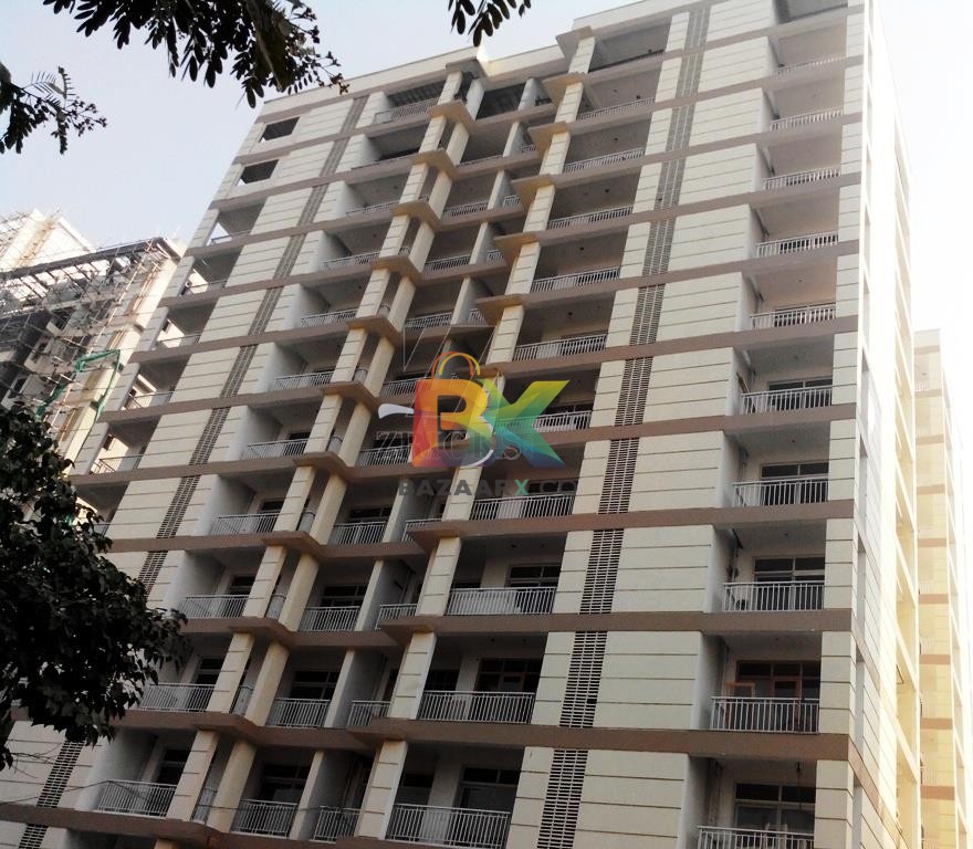 BZX Property