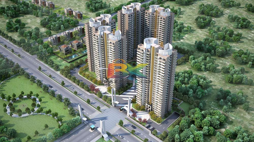 BZX Property