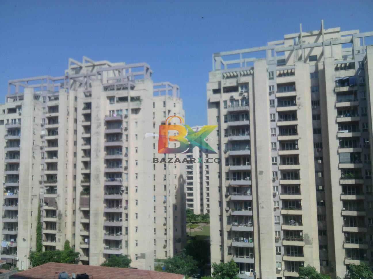 BZX Property