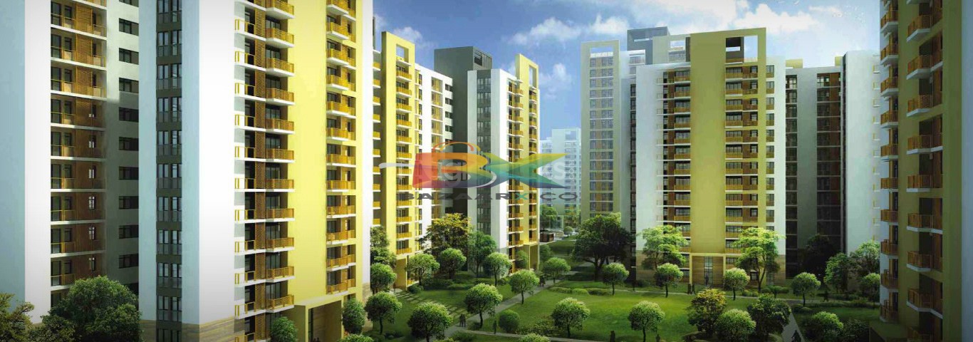 BZX Property
