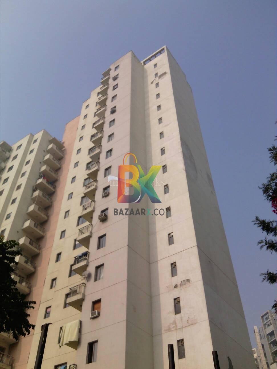 BZX Property