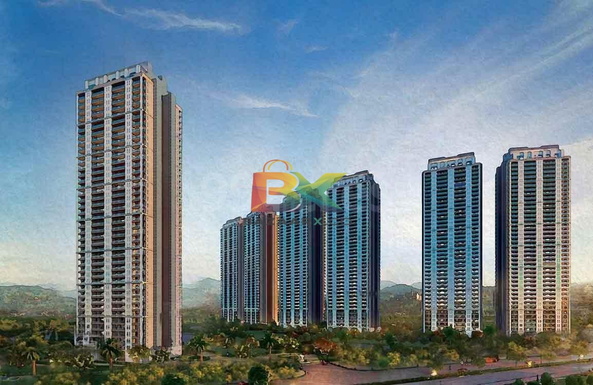 BZX Property