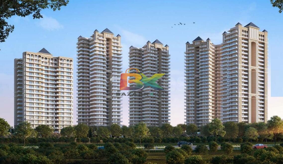 BZX Property