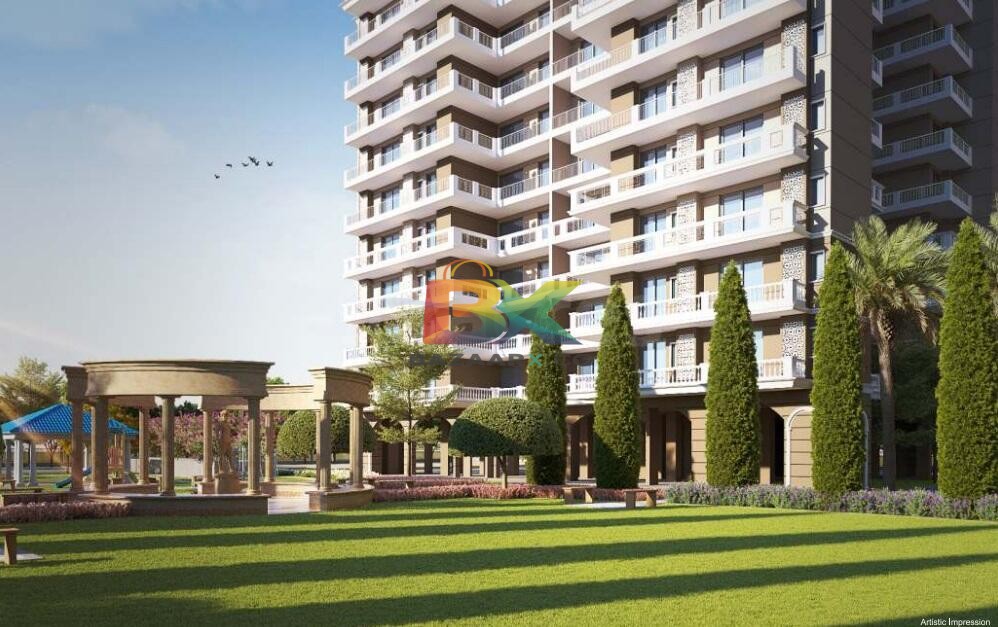 BZX Property