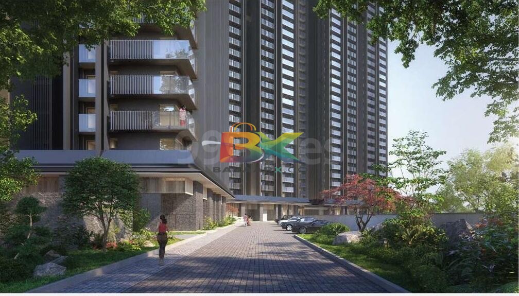 BZX Property