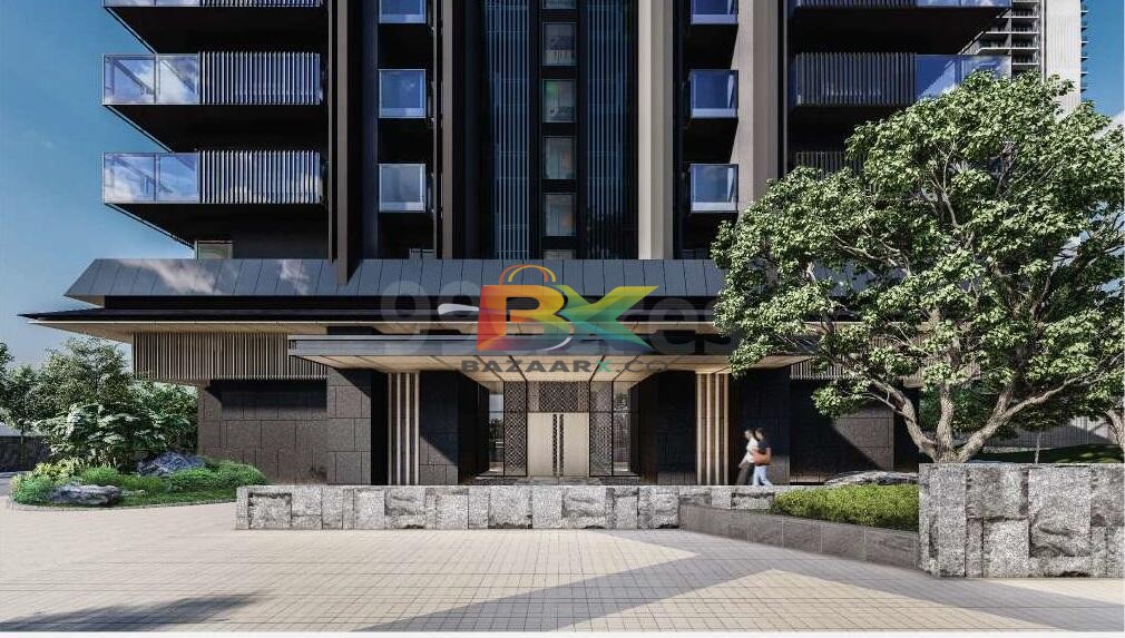 BZX Property