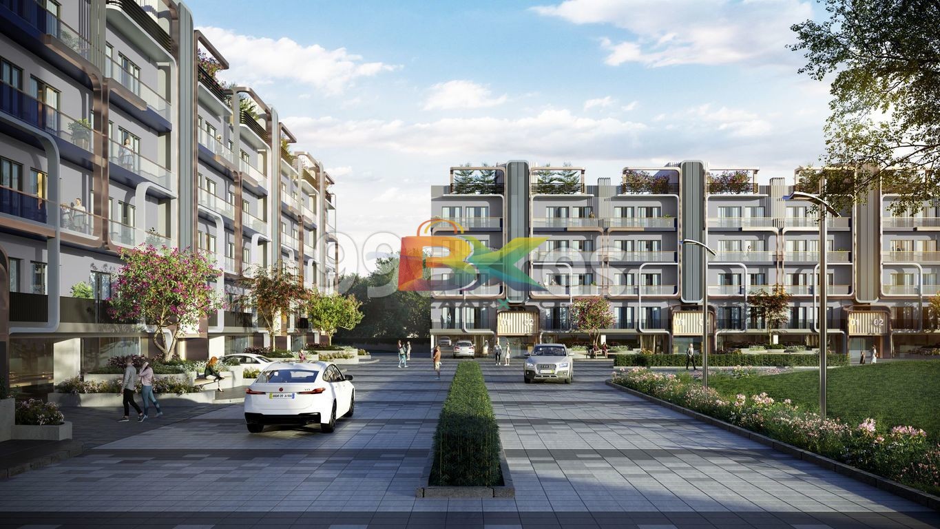 BZX Property