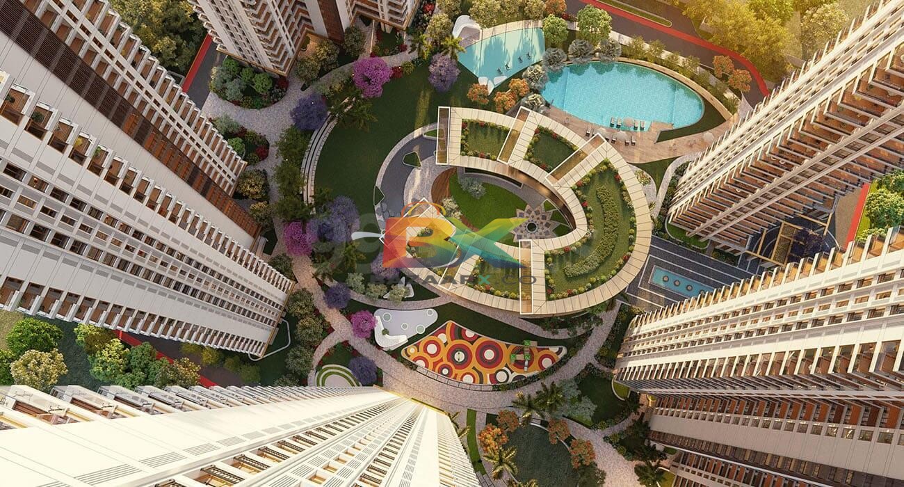 BZX Property