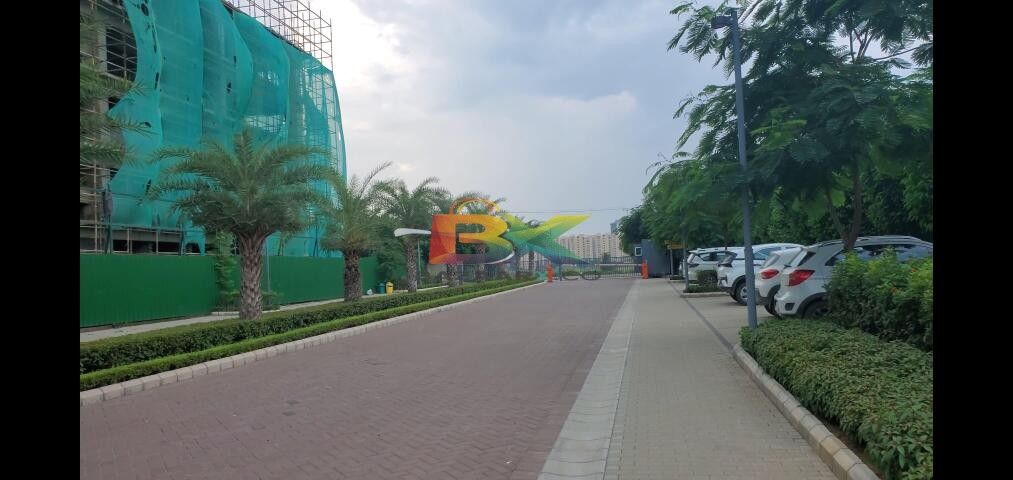 BZX Property
