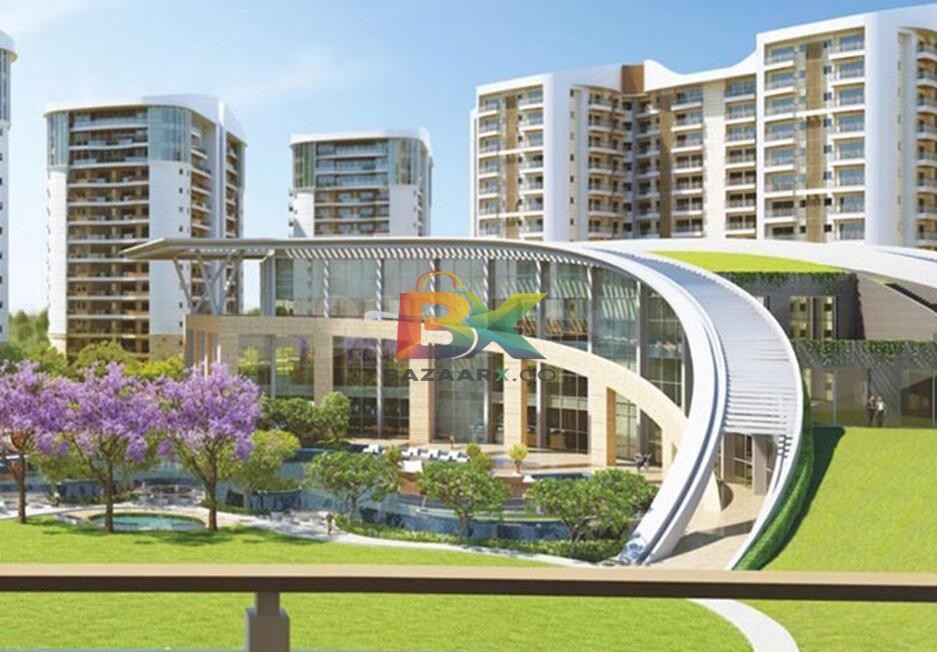 BZX Property