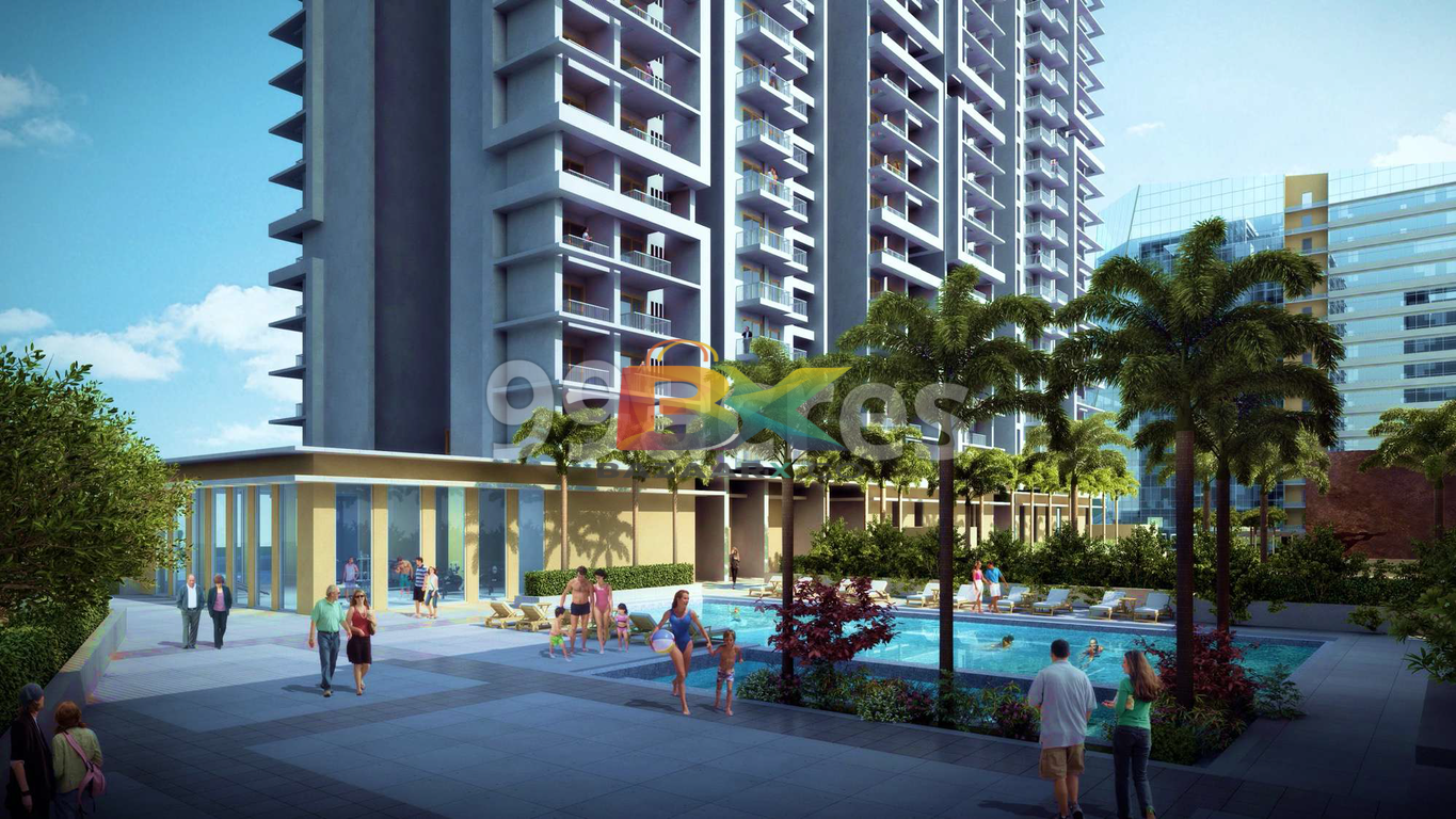 BZX Property