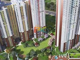 BZX Property