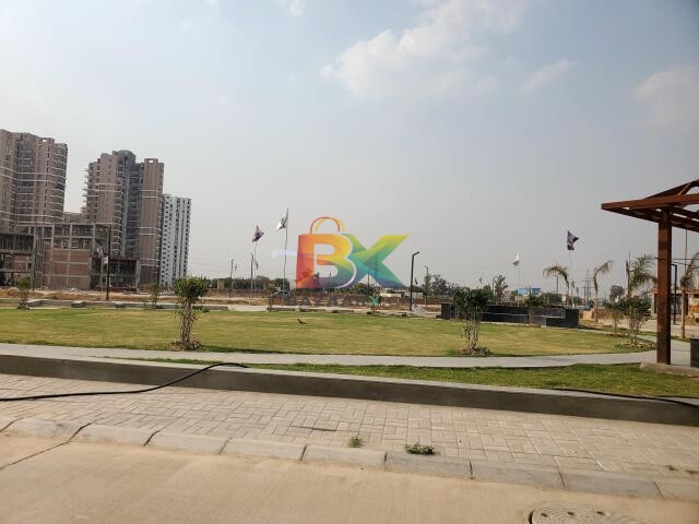 BZX Property