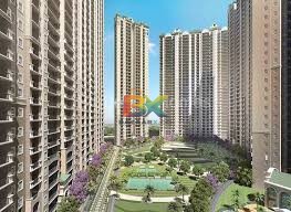 BZX Property